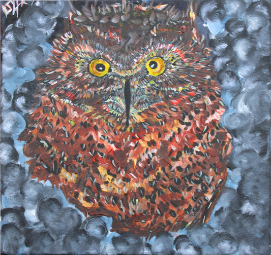 Owl Seeing in the Dark